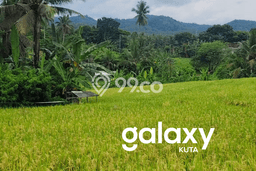 Tanah Dijual Lokasi Selemadeg, Tabanan Luas 400m2 Legalitas Aman Tanah Dijual Lokasi Selemadeg, Tabanan Luas 400m2 Legalitas Aman