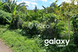 Lahan untuk Dijual Lokasi Buleleng, Buleleng Luas 8300m2 SHM Lahan untuk Dijual Lokasi Buleleng, Buleleng Luas 8300m2 SHM