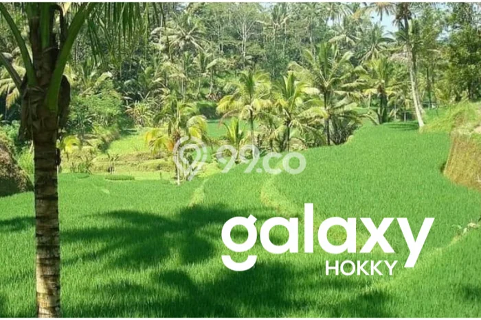 Lahan Kosong Dijual di Gianyar dengan Area 21500m2 Lahan Kosong Dijual di Gianyar dengan Area 21500m2