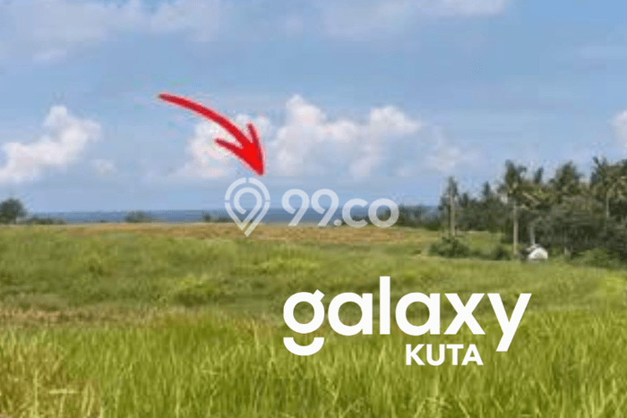 Tanah Kavling Dijual di Tabanan dengan Spesifikasi 300m2 Tanah Kavling Dijual di Tabanan dengan Spesifikasi 300m2
