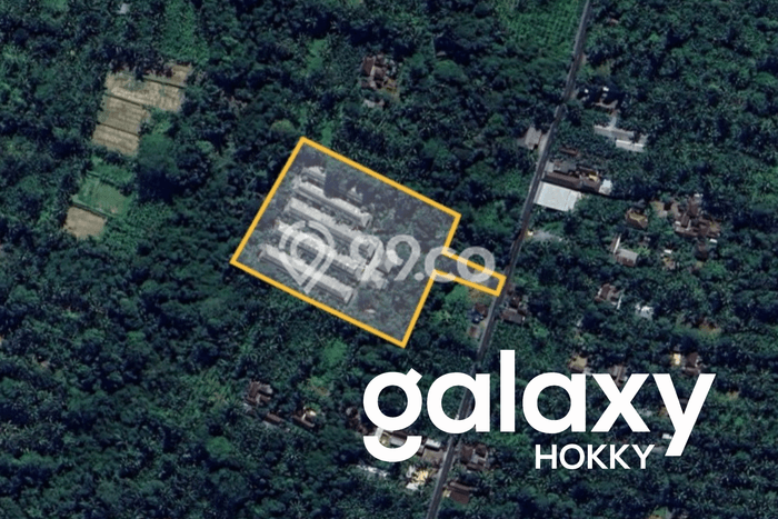 Jarang Ada! Tanah di Payangan Punya Luas 8450m2 SHM Jarang Ada! Tanah di Payangan Punya Luas 8450m2 SHM