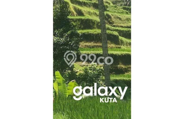 Lahan Investasi Lokasi Payangan Gianyar SHM Lahan Investasi Lokasi Payangan Gianyar SHM