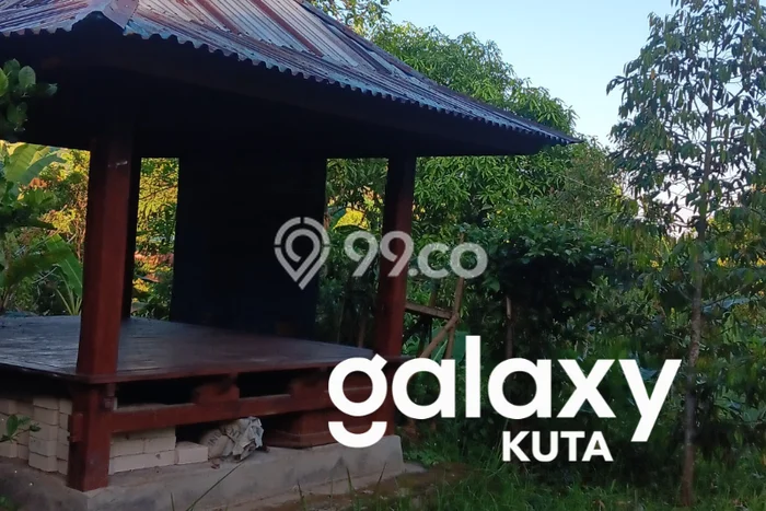 Dijual Tanah Lokasi Sekumpul, Buleleng Seluas 6000m2 Dijual Tanah Lokasi Sekumpul, Buleleng Seluas 6000m2