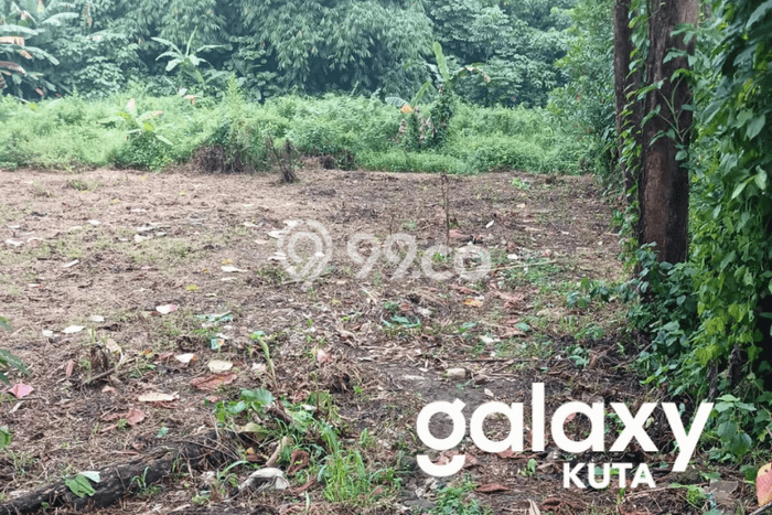 Kavling Tanah Dijual di Cibinong, Bogor, Luas 1997m2 Area Strategis Kavling Tanah Dijual di Cibinong, Bogor, Luas 1997m2 Area Strategis