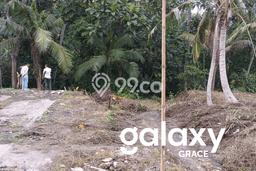 Tanah Kavling di Sukawati Gianyar Disewakan dengan Luas 2500m2 Tanah Kavling di Sukawati Gianyar Disewakan dengan Luas 2500m2