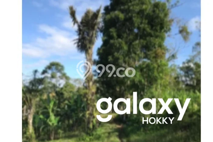 Lahan Kosong Dijual di Gianyar dengan Area 21500m2 Lahan Kosong Dijual di Gianyar dengan Area 21500m2