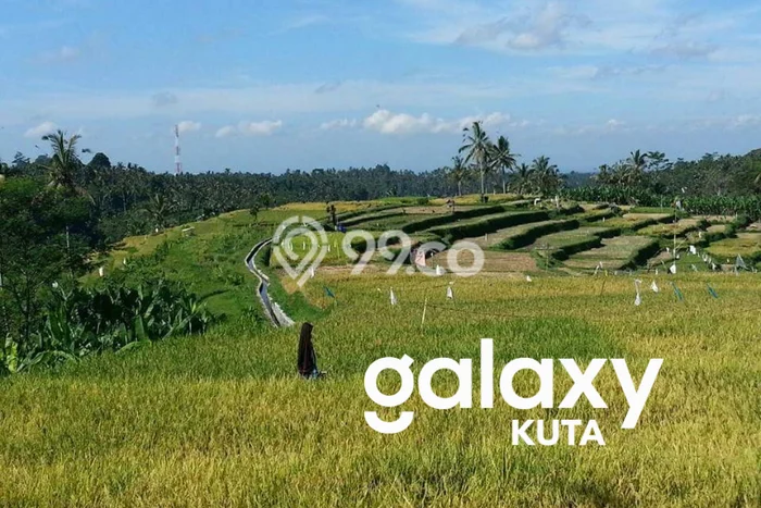 Lahan Investasi Lokasi Payangan Gianyar SHM Lahan Investasi Lokasi Payangan Gianyar SHM