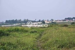 Untuk Dijual Tanah di Cikande Serang Luas 15000m2 SHM Untuk Dijual Tanah di Cikande Serang Luas 15000m2 SHM