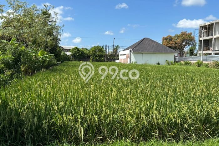 Tanah Kavling Dijual di Kedungu, Tabanan dengan Luas Tanah 220m2 Tanah Kavling Dijual di Kedungu, Tabanan dengan Luas Tanah 220m2
