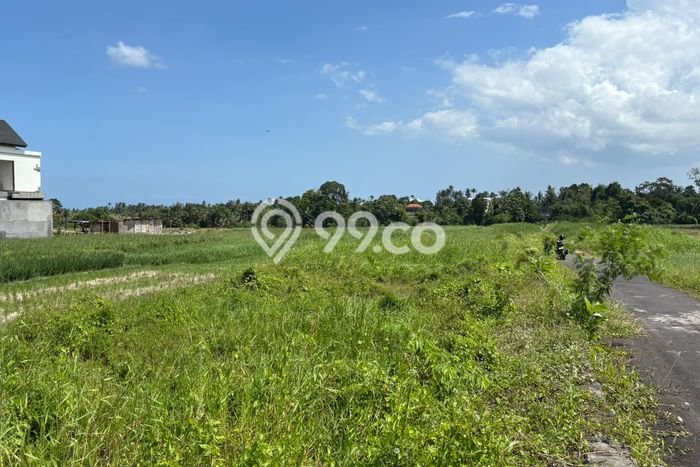Tanah Kavling Dijual di Kedungu, Tabanan dengan Luas Tanah 220m2 Tanah Kavling Dijual di Kedungu, Tabanan dengan Luas Tanah 220m2