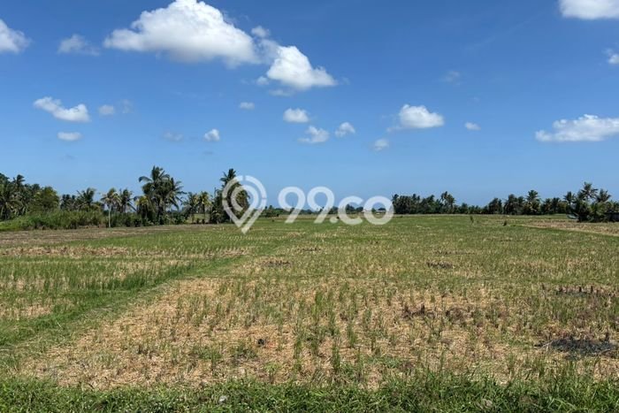 Tanah Kavling Dijual di Kedungu, Tabanan dengan Luas Tanah 220m2 Tanah Kavling Dijual di Kedungu, Tabanan dengan Luas Tanah 220m2