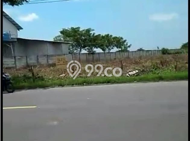 Tanah Kavling di Widang Dijual dengan Luas 43000m2 Tanah Kavling di Widang Dijual dengan Luas 43000m2