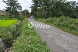 Tanah Dijual Lokasi Pandaan, Pasuruan dengan Luas Tanah 14339m2 dan Status SHM Tanah Dijual Lokasi Pandaan, Pasuruan dengan Luas Tanah 14339m2 dan Status SHM