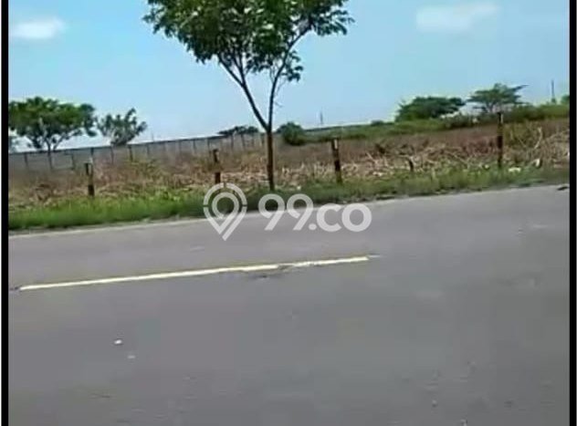 Tanah Kavling di Widang Dijual dengan Luas 43000m2 Tanah Kavling di Widang Dijual dengan Luas 43000m2