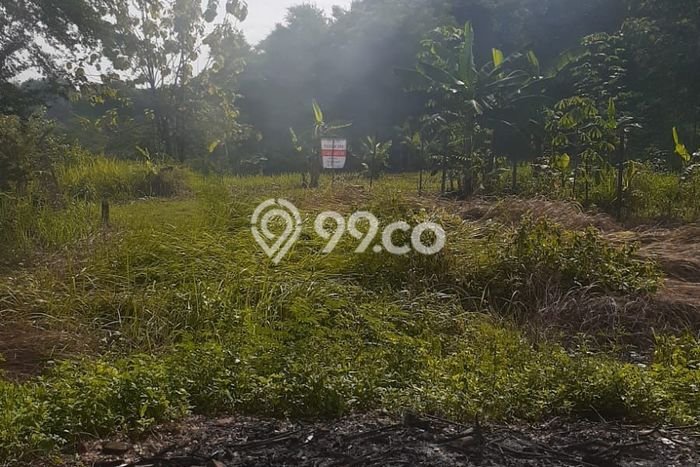 Tanah Dijual di Semarang Seluas 340m2 Strategis Tanah Dijual di Semarang Seluas 340m2 Strategis
