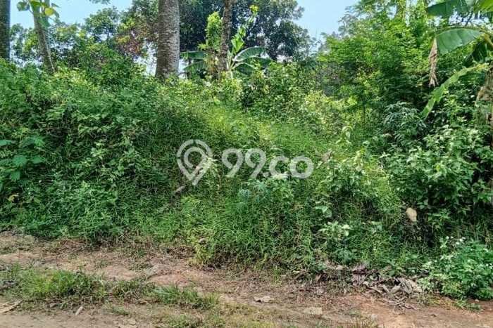 Tanah di Tembalang, Semarang Luas 500m2 Dijual Segera Tanah di Tembalang, Semarang Luas 500m2 Dijual Segera