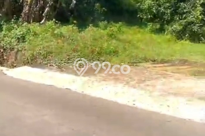 Tanah untuk Dijual Lokasi Ngaliyan, Semarang Luas 24000m2 SHM Tanah untuk Dijual Lokasi Ngaliyan, Semarang Luas 24000m2 SHM