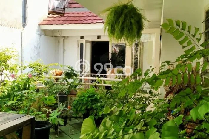 Siap Huni Rumah Mewah 5 Kamar di Menteng Dekat ke Mana Saja Siap Huni Rumah Mewah 5 Kamar di Menteng Dekat ke Mana Saja