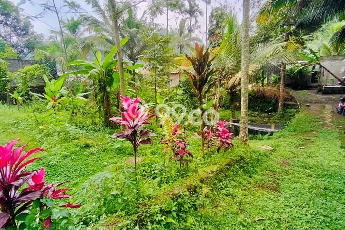 Lahan Kosong Dijual di Tawangmangu, Karanganyar, Luas 120m2 Area Strategis Lahan Kosong Dijual di Tawangmangu, Karanganyar, Luas 120m2 Area Strategis