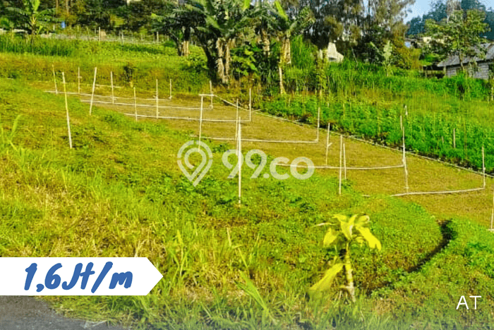 Lahan untuk Dijual Lokasi Tawangmangu, Karanganyar Luas 392m2 SHM Lahan untuk Dijual Lokasi Tawangmangu, Karanganyar Luas 392m2 SHM