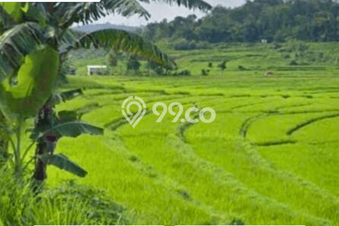 Tanah Kavling untuk Dijual di Karangpandan Karanganyar 235m2 Tanah Kavling untuk Dijual di Karangpandan Karanganyar 235m2