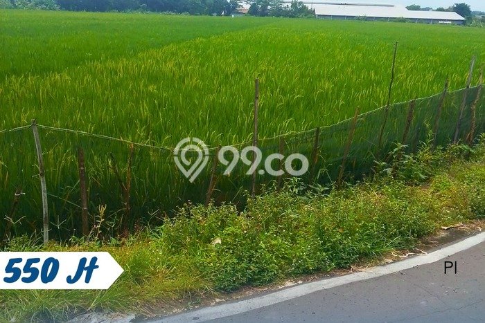 Tanah Kavling di Jaten Dijual dengan Luas 960m2 Tanah Kavling di Jaten Dijual dengan Luas 960m2