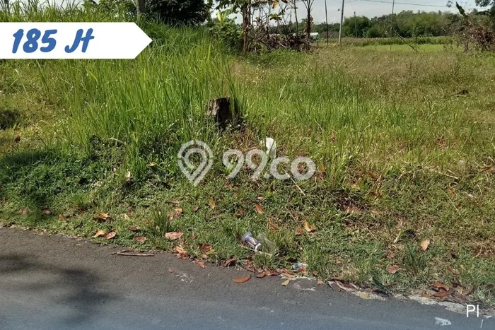 Untuk Dijual Tanah di Mojogedang Karanganyar Luas 425m2 SHM Untuk Dijual Tanah di Mojogedang Karanganyar Luas 425m2 SHM