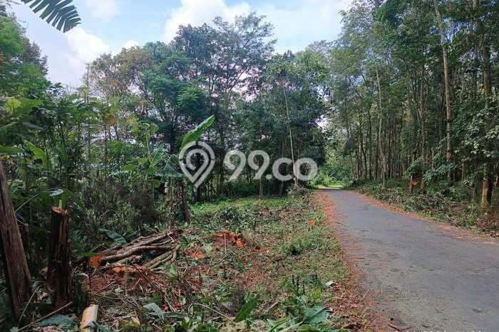 Jarang Ada! Tanah di Ngargoyoso Punya Luas 1200m2 SHM Jarang Ada! Tanah di Ngargoyoso Punya Luas 1200m2 SHM
