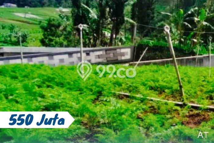 Lahan Strategis di Tawangmangu Dijual dengan Luas 207m2 Lahan Strategis di Tawangmangu Dijual dengan Luas 207m2