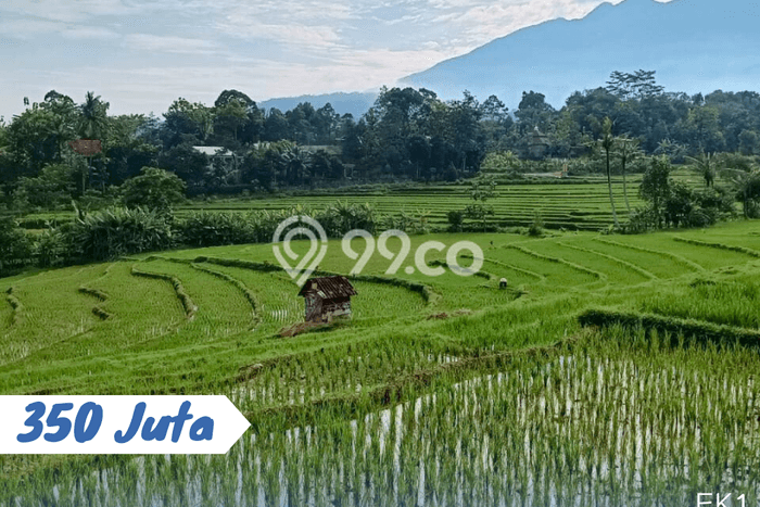 Tanah Kavling di Karangpandan Dijual dengan Luas 1000m2 Tanah Kavling di Karangpandan Dijual dengan Luas 1000m2