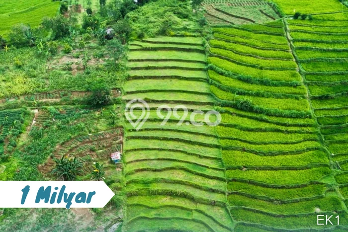 Tanah Kavling untuk Dijual di Karangpandan Karanganyar 5500m2 Tanah Kavling untuk Dijual di Karangpandan Karanganyar 5500m2
