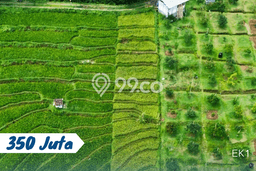 Kavling Tanah Dijual di Karangpandan, Karanganyar, Luas 1000m2 Area Strategis Kavling Tanah Dijual di Karangpandan, Karanganyar, Luas 1000m2 Area Strategis