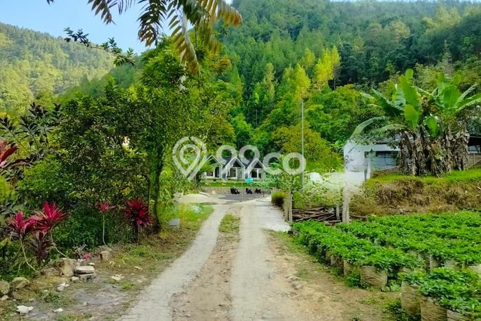 Lahan Kosong Dijual di Karanganyar dengan Area 280m2 Lahan Kosong Dijual di Karanganyar dengan Area 280m2