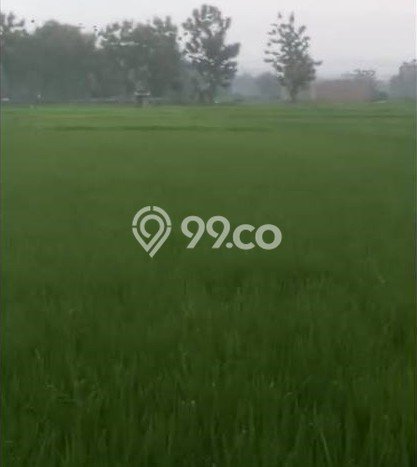 Kavling Tanah Dijual di Tasikmadu, Karanganyar, Luas 1800m2 Area Strategis Kavling Tanah Dijual di Tasikmadu, Karanganyar, Luas 1800m2 Area Strategis