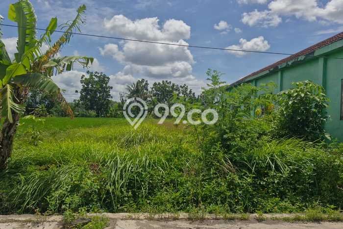 Tanah Dijual Lokasi Ngawen, Klaten Luas 2290m2 Legalitas Aman Tanah Dijual Lokasi Ngawen, Klaten Luas 2290m2 Legalitas Aman