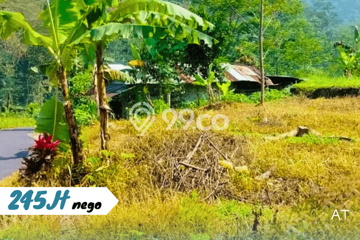 Tanah di Tawangmangu, Karanganyar Luas 456m2 Dijual Segera Tanah di Tawangmangu, Karanganyar Luas 456m2 Dijual Segera