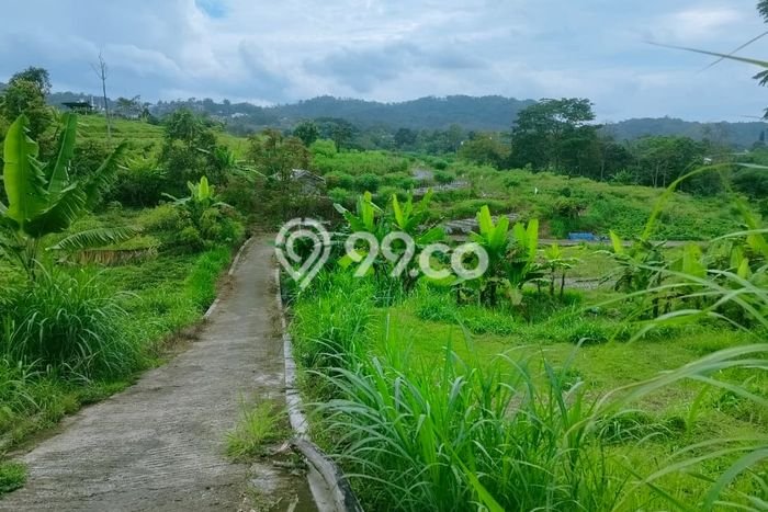 Tanah Komersial Dijual di Ngargoyoso Karanganyar 1600m2 Tanah Komersial Dijual di Ngargoyoso Karanganyar 1600m2