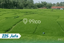 Untuk Dijual Tanah di Karangpandan Karanganyar Luas 1200m2 SHM Untuk Dijual Tanah di Karangpandan Karanganyar Luas 1200m2 SHM