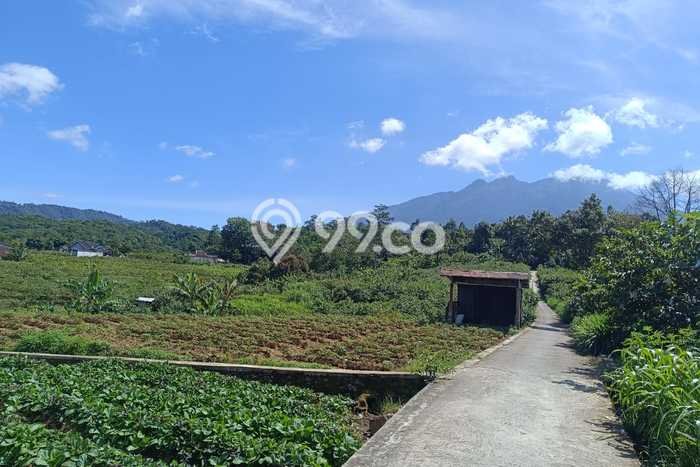 Lahan Dijual Lokasi Ngargoyoso, Karanganyar dengan Luas Tanah 1800m2 dan Status SHM Lahan Dijual Lokasi Ngargoyoso, Karanganyar dengan Luas Tanah 1800m2 dan Status SHM