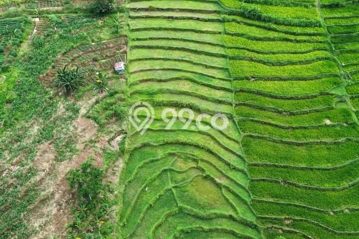 Tanah Kavling untuk Dijual di Karangpandan Karanganyar 5500m2 Tanah Kavling untuk Dijual di Karangpandan Karanganyar 5500m2