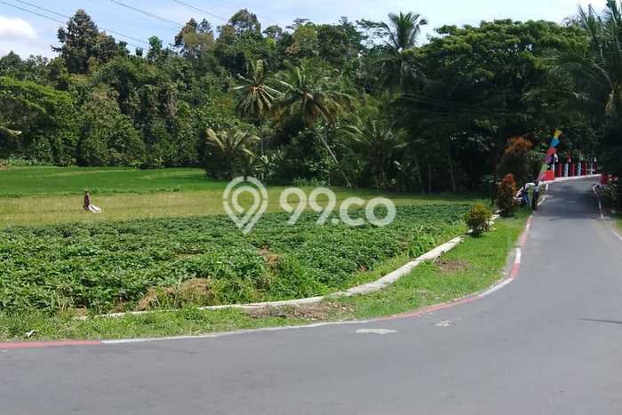 Kavling Tanah di Matesih Dijual Luas 830m2 Legalitas SHM Kavling Tanah di Matesih Dijual Luas 830m2 Legalitas SHM