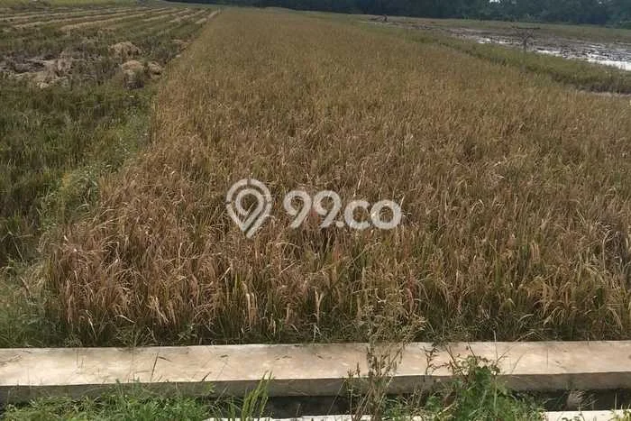 Tanah Kavling di Kebakkramat Dijual dengan Luas 1640m2 Tanah Kavling di Kebakkramat Dijual dengan Luas 1640m2