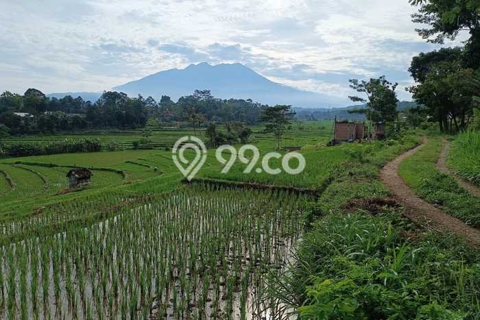 Tanah Kavling di Karangpandan Dijual dengan Luas 1000m2 Tanah Kavling di Karangpandan Dijual dengan Luas 1000m2