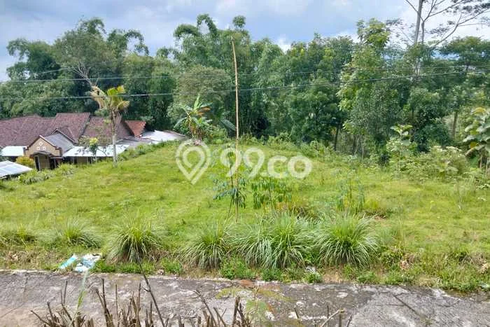 Tanah untuk Dijual Lokasi Karangpandan, Karanganyar Luas 1175m2 SHM Tanah untuk Dijual Lokasi Karangpandan, Karanganyar Luas 1175m2 SHM