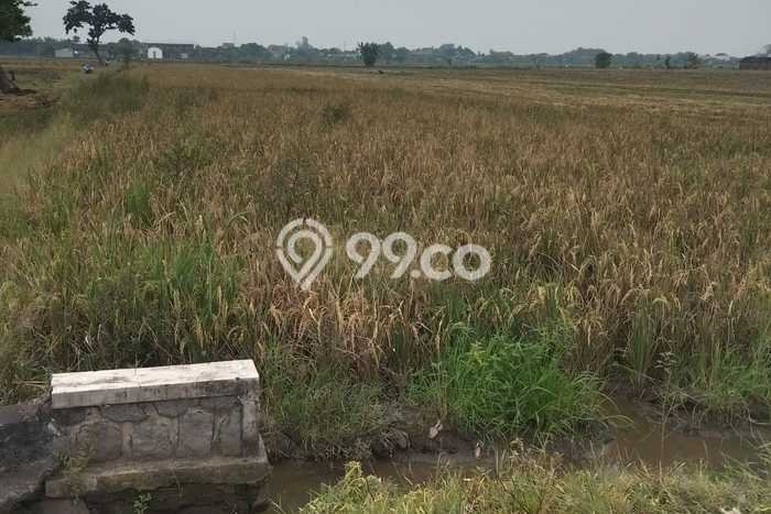 Tanah di Kebakkramat, Karanganyar Luas 2765m2 Dijual Segera Tanah di Kebakkramat, Karanganyar Luas 2765m2 Dijual Segera