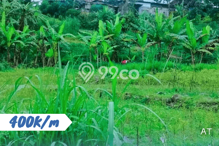 Tanah Komersial Dijual di Ngargoyoso Karanganyar 1600m2 Tanah Komersial Dijual di Ngargoyoso Karanganyar 1600m2