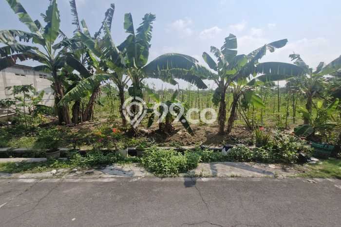 Kavling Tanah Dijual di Colomadu Karanganyar Spesifikasi 1204m2 Kavling Tanah Dijual di Colomadu Karanganyar Spesifikasi 1204m2