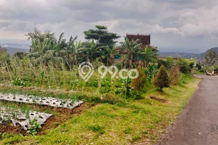 Dijual Tanah di Ngargoyoso Karanganyar Luas 254m2 SHM Dijual Tanah di Ngargoyoso Karanganyar Luas 254m2 SHM
