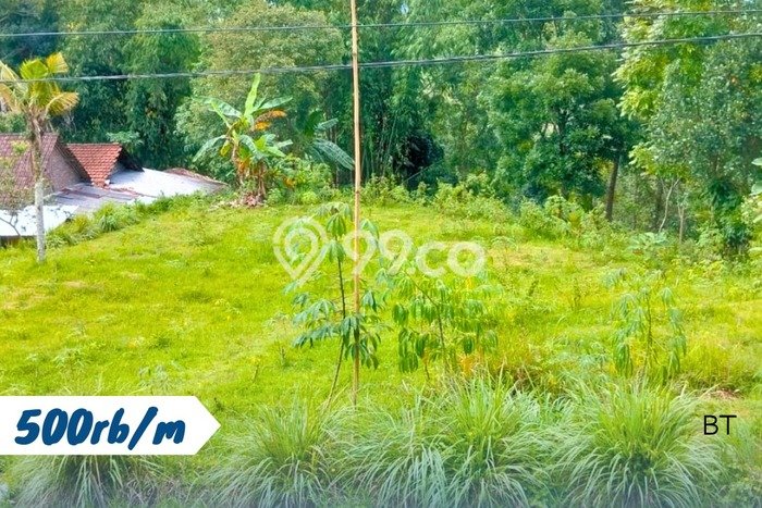 Tanah untuk Dijual Lokasi Karangpandan, Karanganyar Luas 1175m2 SHM Tanah untuk Dijual Lokasi Karangpandan, Karanganyar Luas 1175m2 SHM