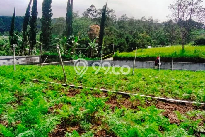 Lahan Strategis di Tawangmangu Dijual dengan Luas 207m2 Lahan Strategis di Tawangmangu Dijual dengan Luas 207m2
